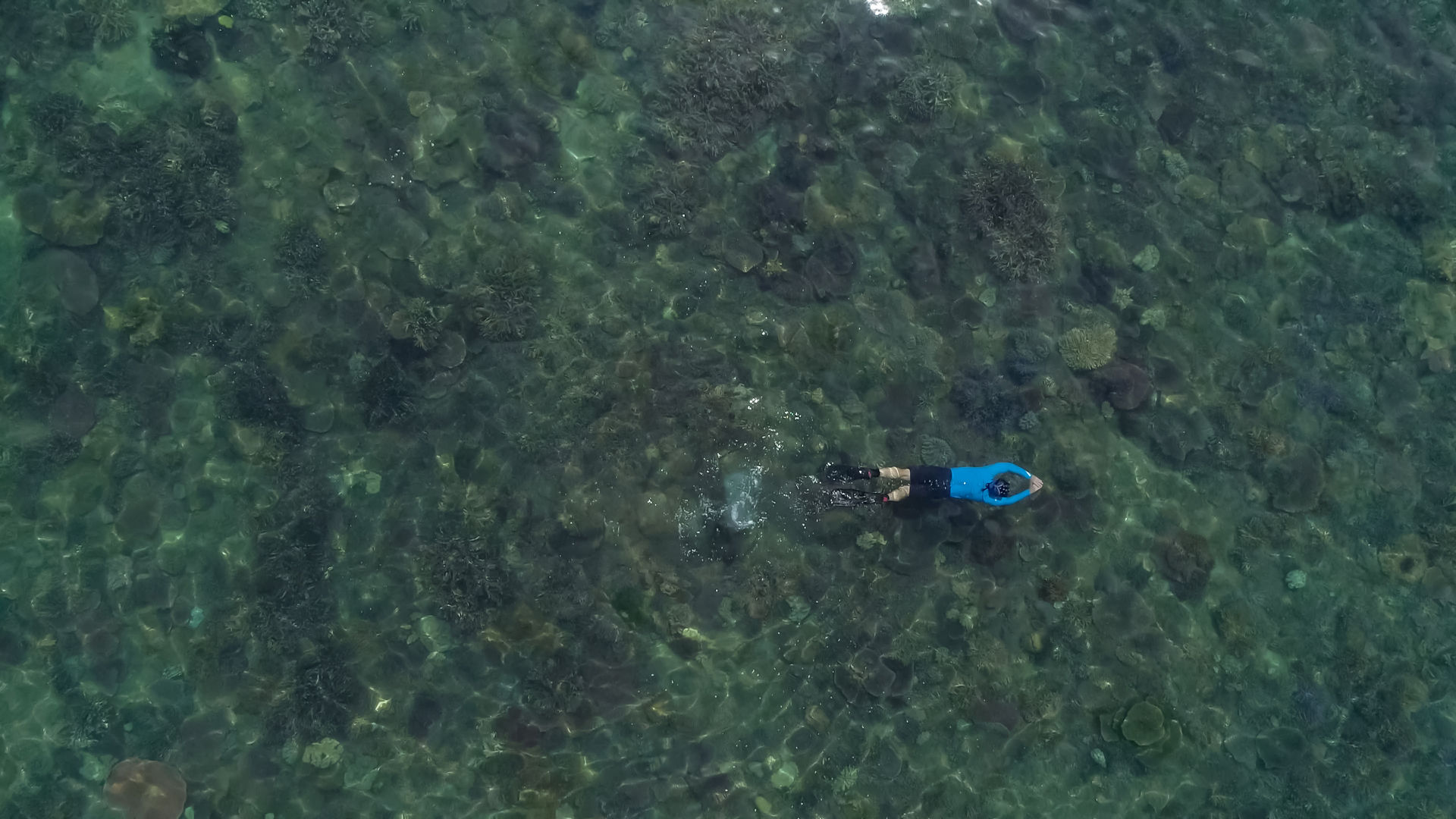 a person snorkelling